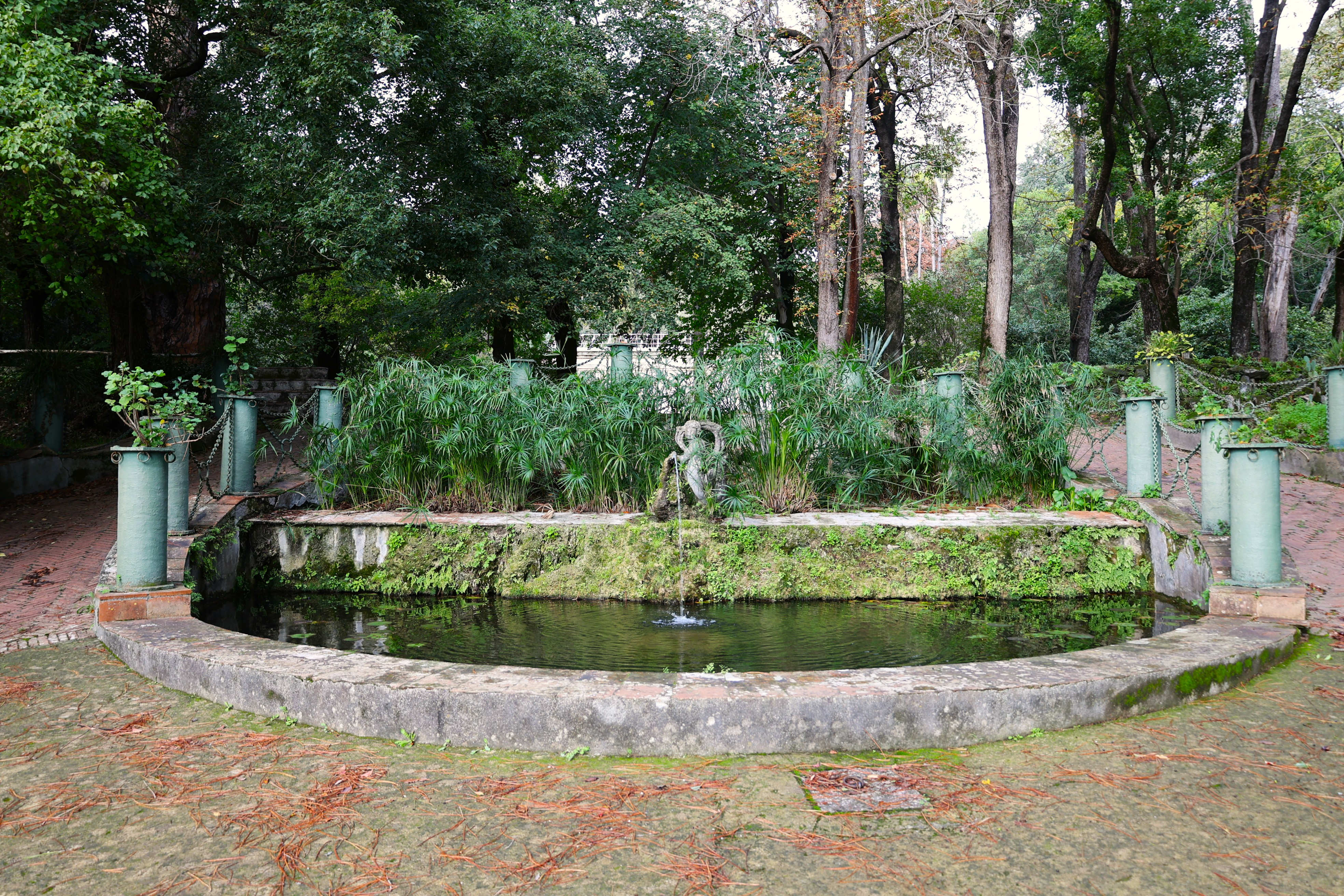 English Garden
